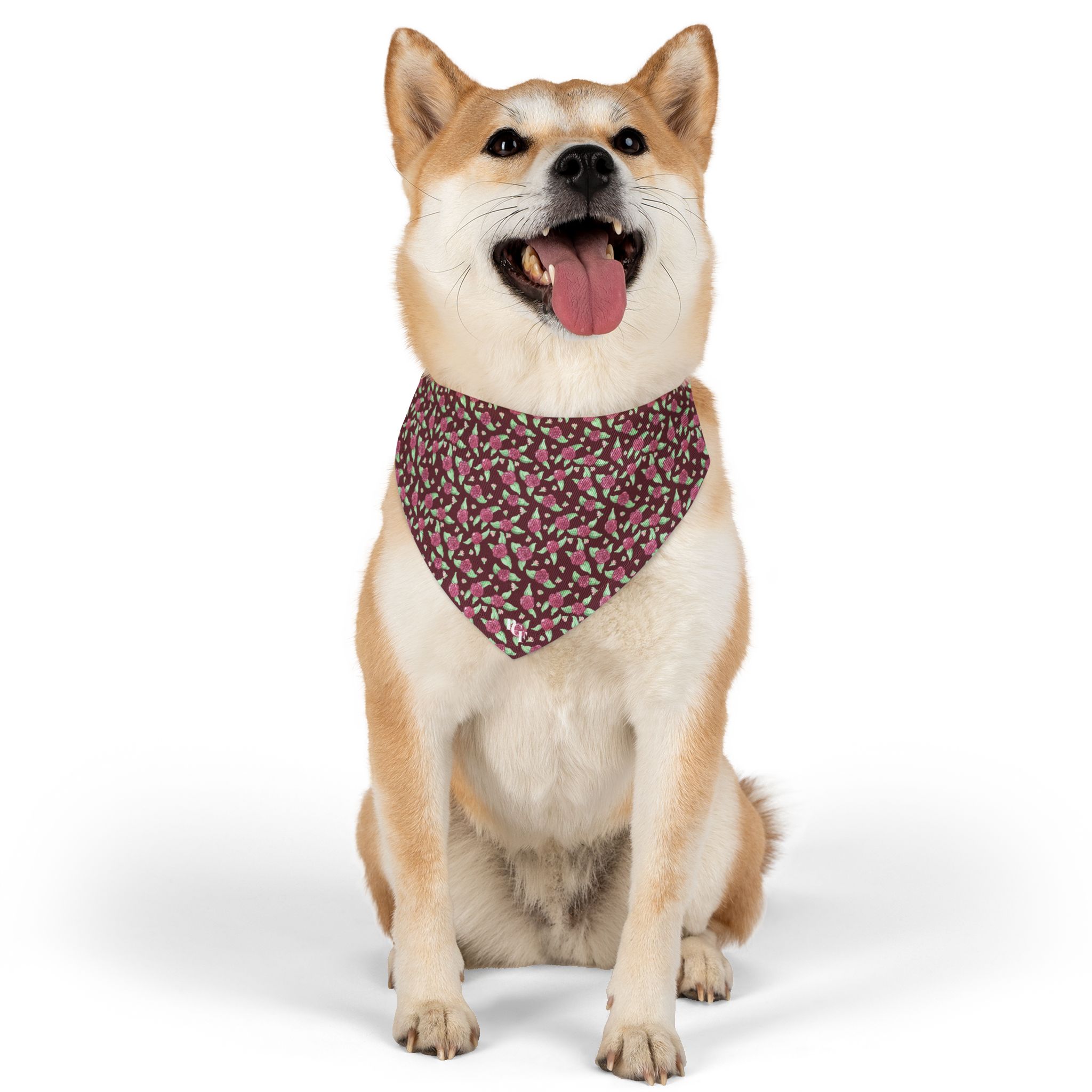 Pet Bandana Collar in Maroon Rose Print