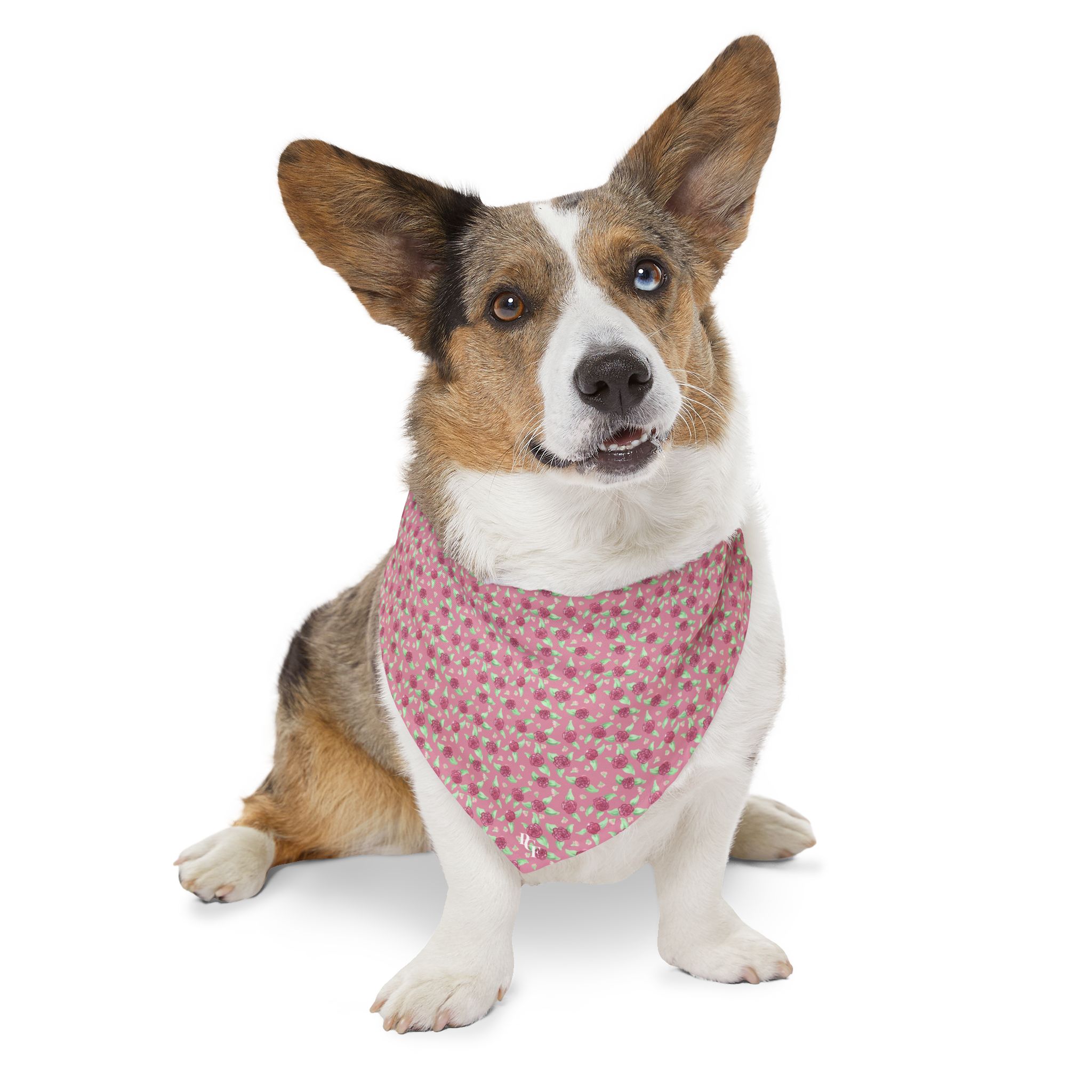 Pet Bandana Collar in Pink Rose Print