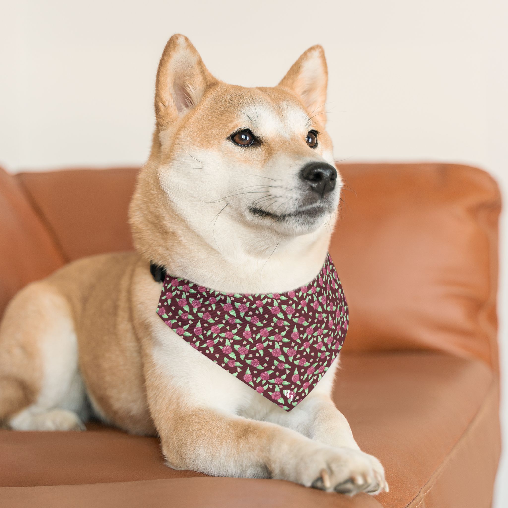 Pet Bandana Collar in Maroon Rose Print