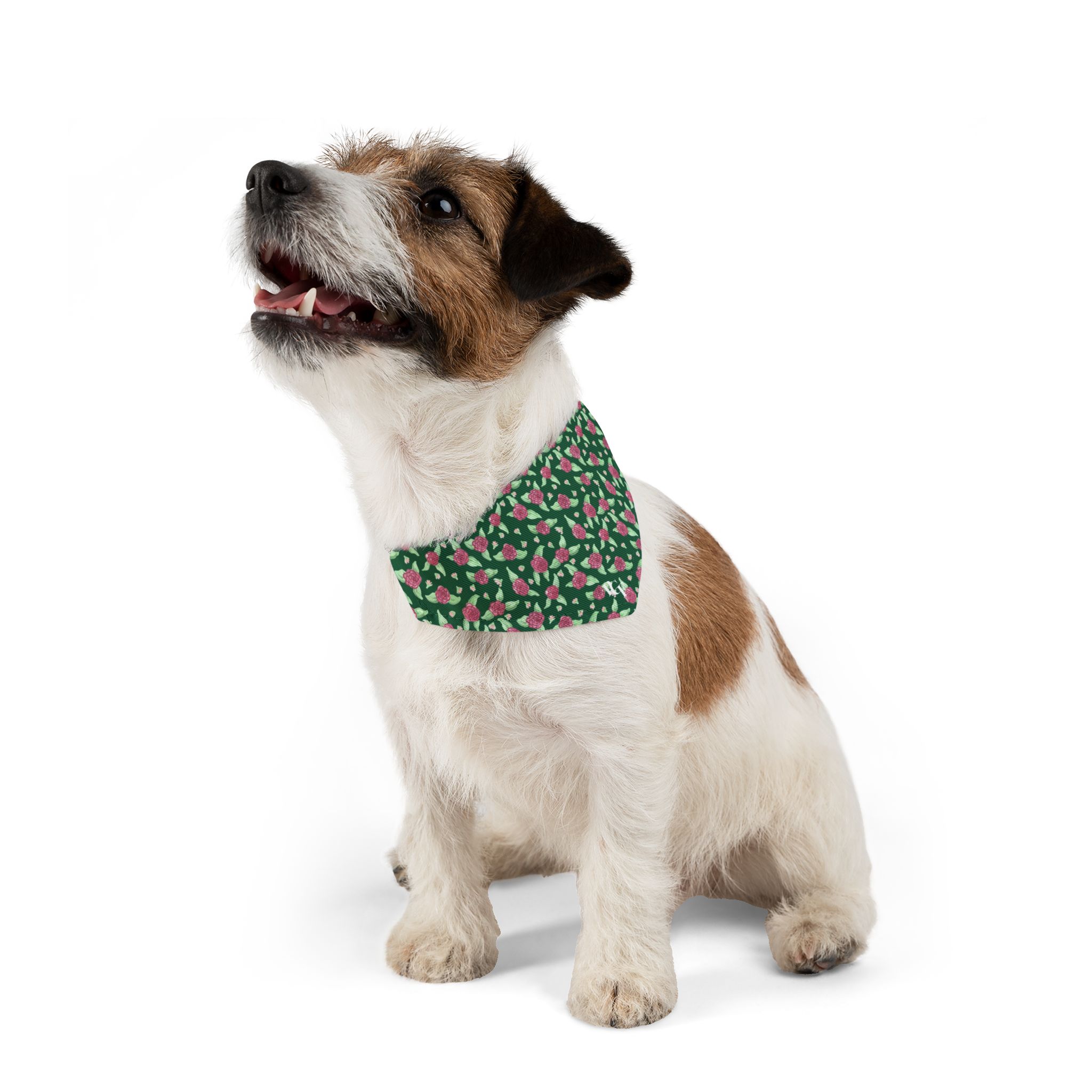 Pet Bandana Collar in Green Rose Print