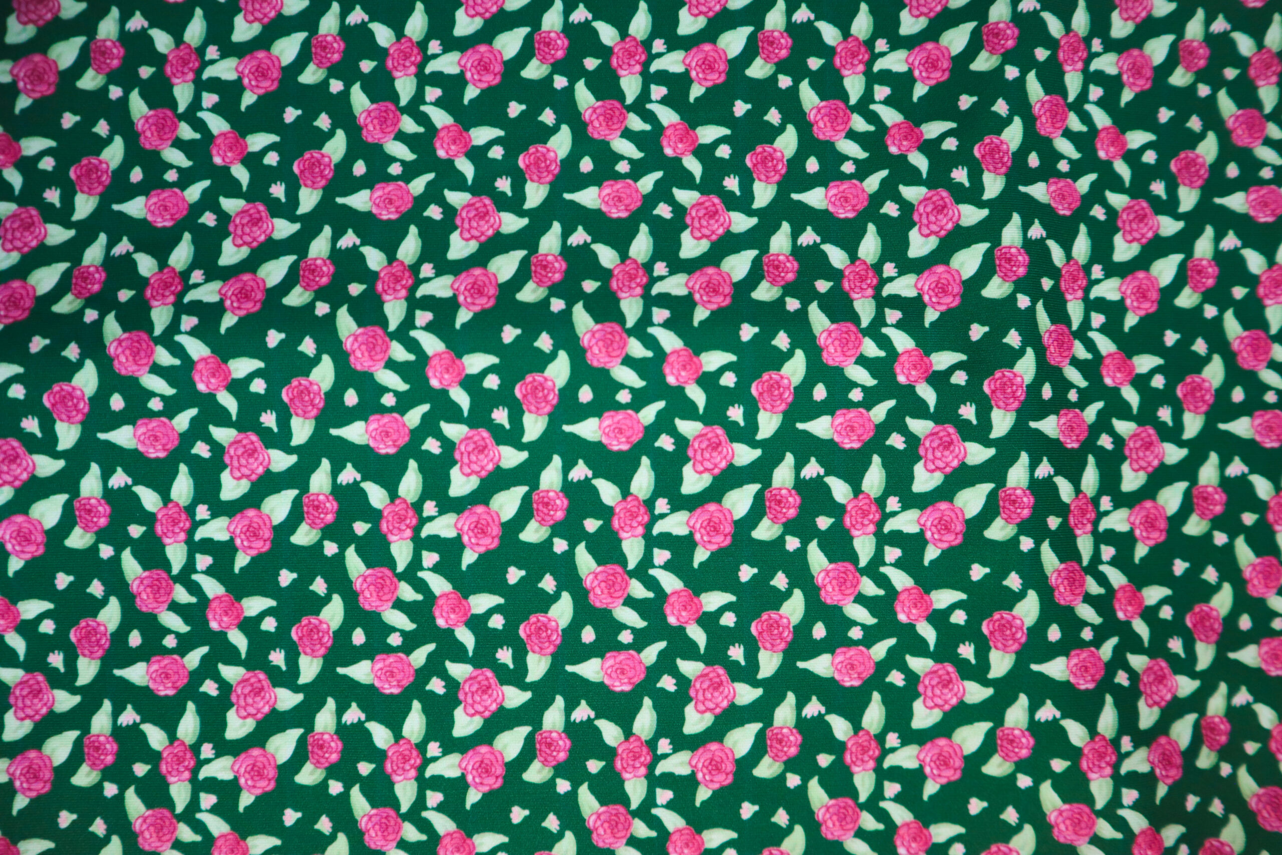 Romper in Green Rose Print